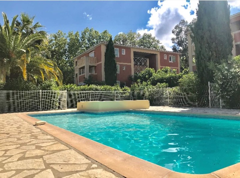 Massada residence pool, surrounded by palm trees and pines