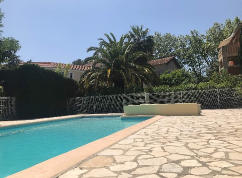 Stone-paved pool deck under the palm trees, Massada residence
